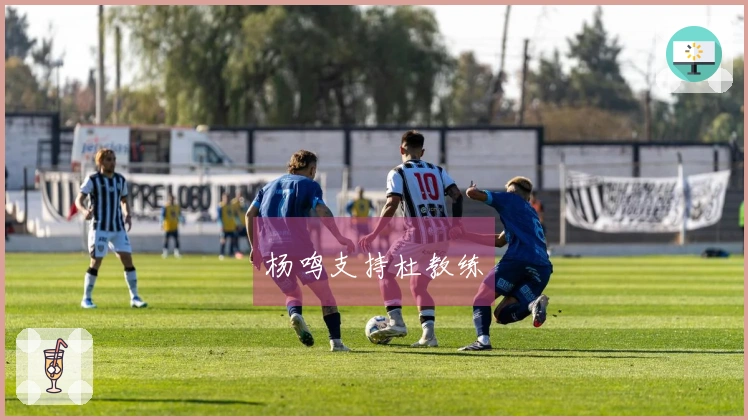 杨鸣支持杜教练